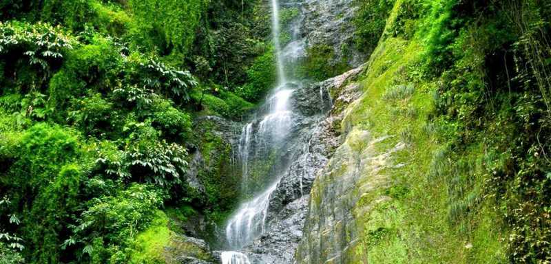 Chadwick Falls in shimla