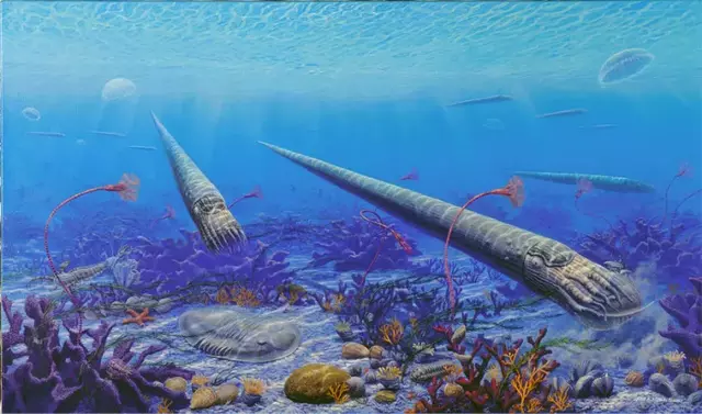End Ordovician Mass Extinction